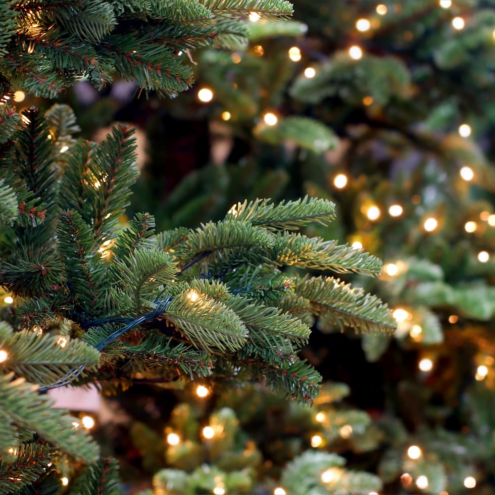En cuanto a las condiciones marítimas, continúan deterioradas.
