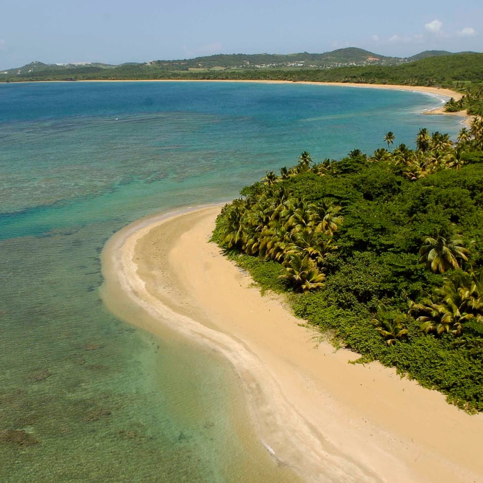 El proyecto fue radicado cuatro días después que el presidente cameral anunciara su intención de legislar para que se permitan construcciones en el Corredor Ecológico del Noreste.