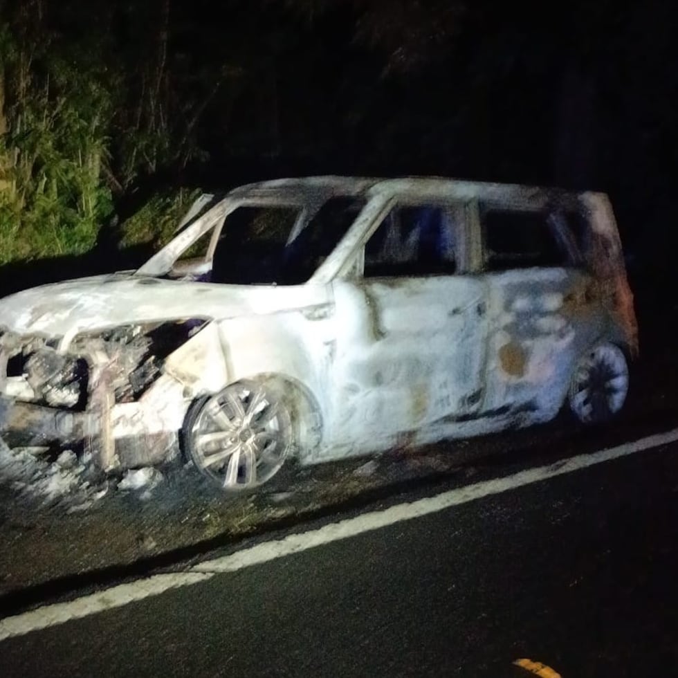Los hechos fueron reportados a eso de las 2:04 a.m., en el kilómetro 4.0 de la carretera PR-145, en el sector Ventana del barrio Torrecillas.