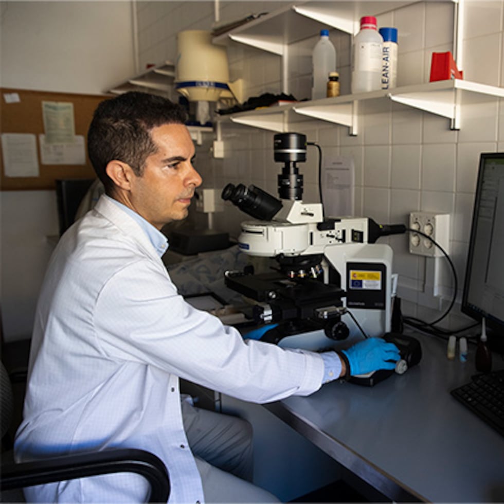 Fotografía facilitada por la Universidad de Málaga de uno de los investigadores del estudio en el que han identificado unos nuevos marcadores en la sangre que reflejan el estado del hipocampo -una zona clave del cerebro para la memoria- lo que abre nuevas vías para la detección temprana del alzhéimer, antes de los primeros síntomas.