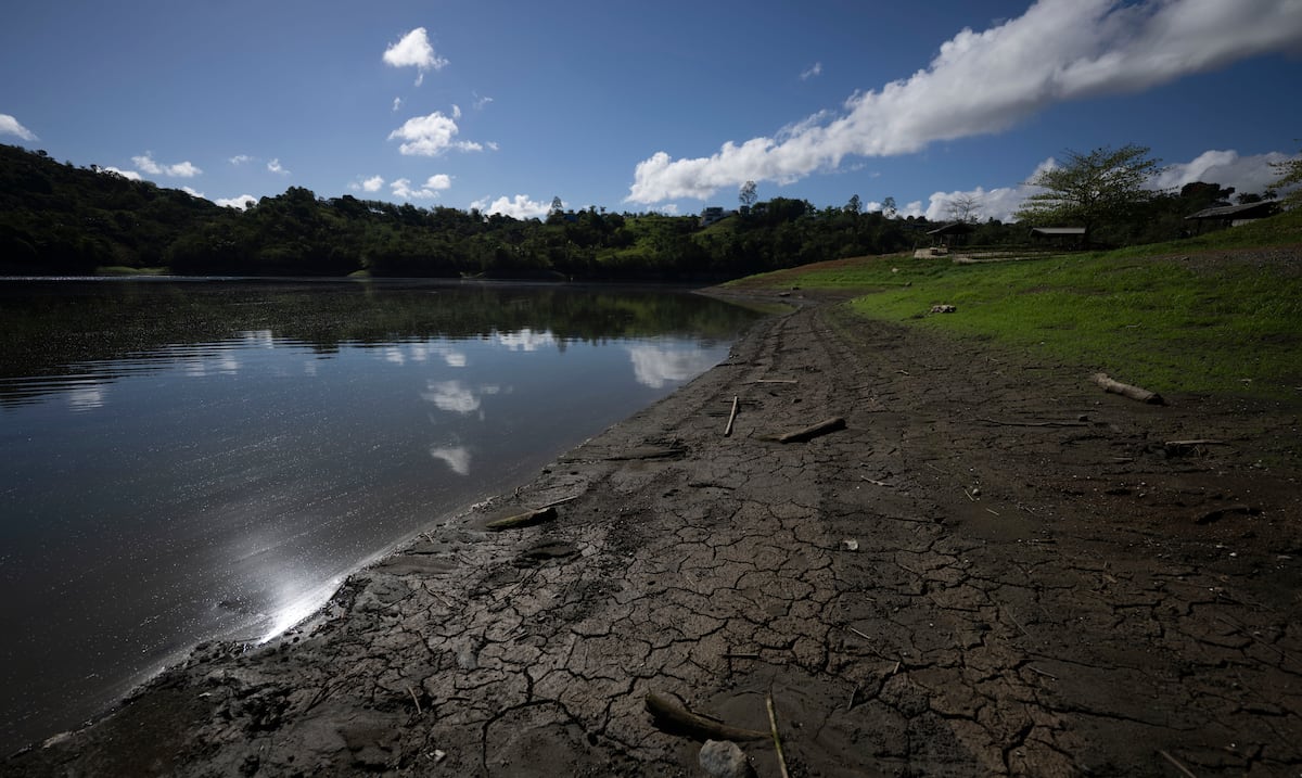Empresas locales crean plataforma gratuita para monitorear embalses de Puerto Rico