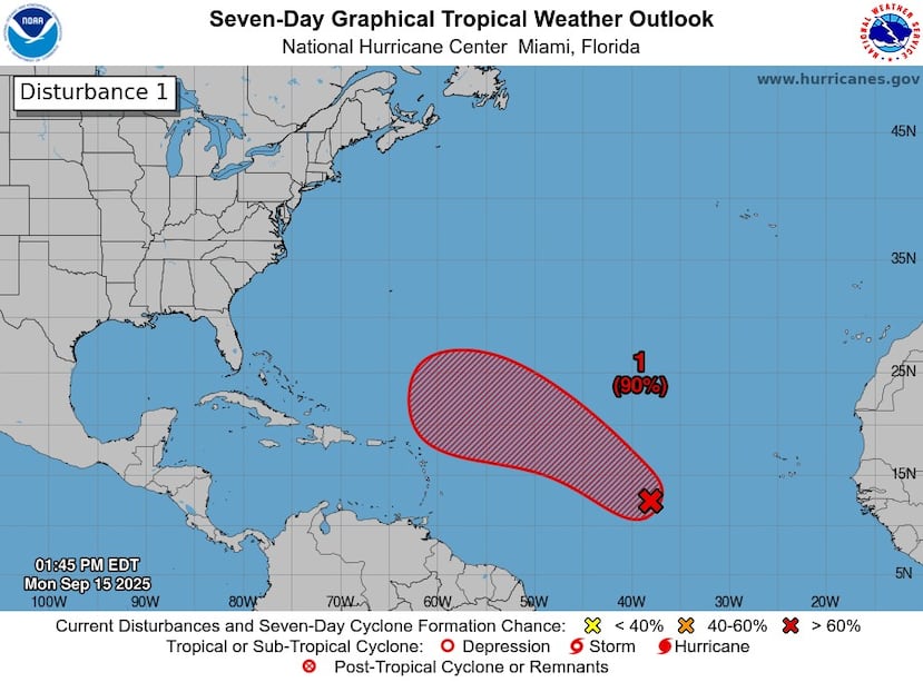 Ejemplo de perspectiva del trópico