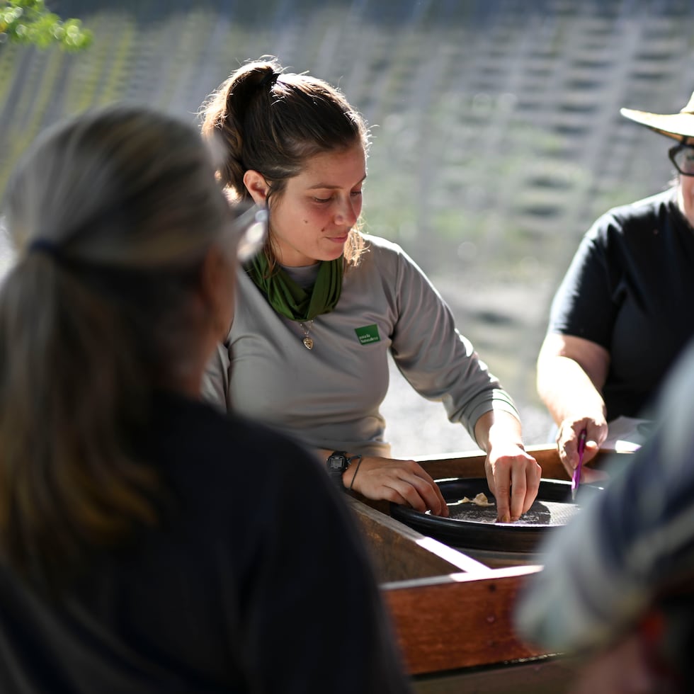 El taller “De la germinación a la siembra” forma parte de un nuevo movimiento de PLN bautizado “Sembrando Alianzas”.
