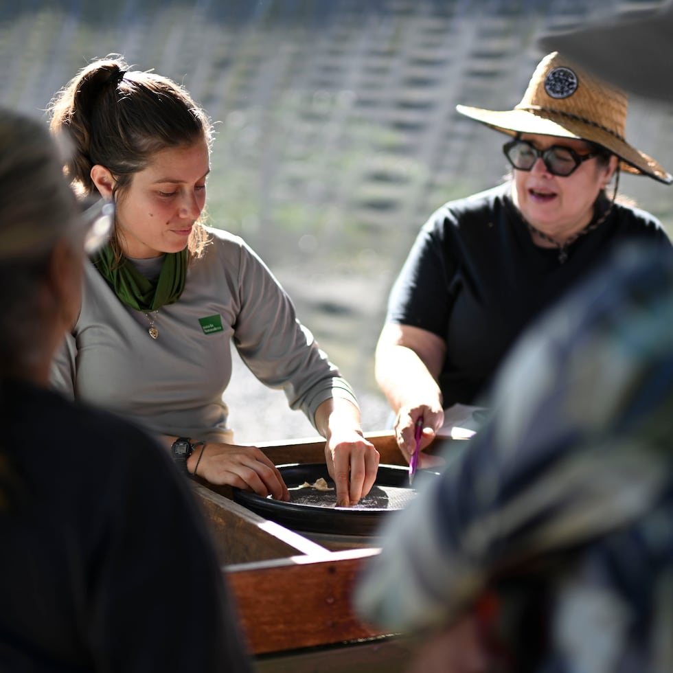 The workshop "From germination to sowing" is part of a new PLN movement called "Sowing Alliances".