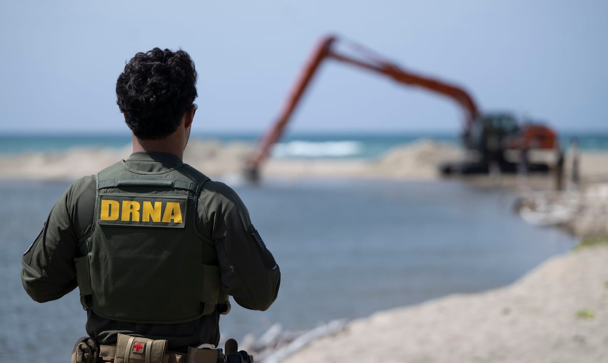 Atrapados entre el río y el mar: así intentan salvar a dos manatíes en Loíza