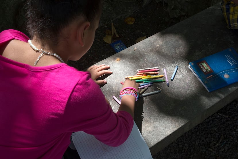 Desde que el Departamento de la Familia y ELNUEVODIA.COM se unieron para dar a conocer a menores liberados para adopción, se han publicado las historias de 15 niños. De estos, 12 ya cuentan con familias interesadas en acogerlos. (Archivo / GFR Media)