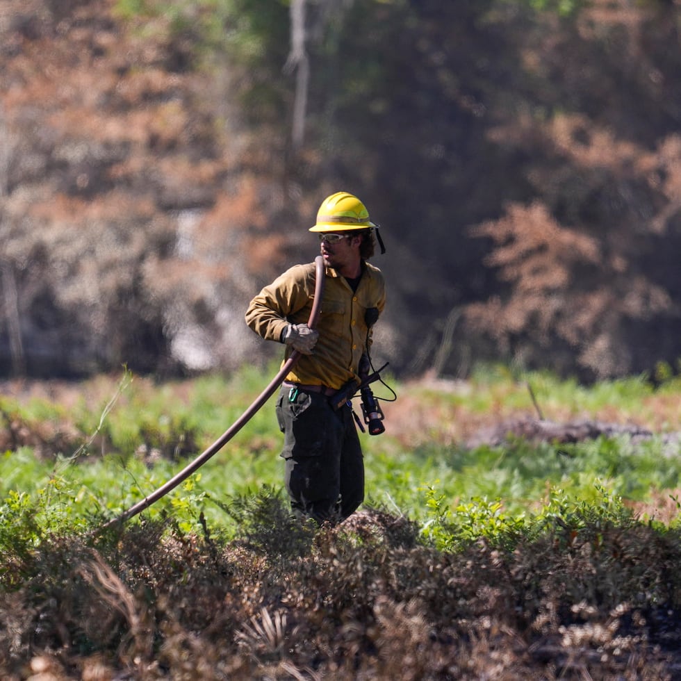 Un bombero trabaja en el incendio de la Carretera 82 en Brantley.