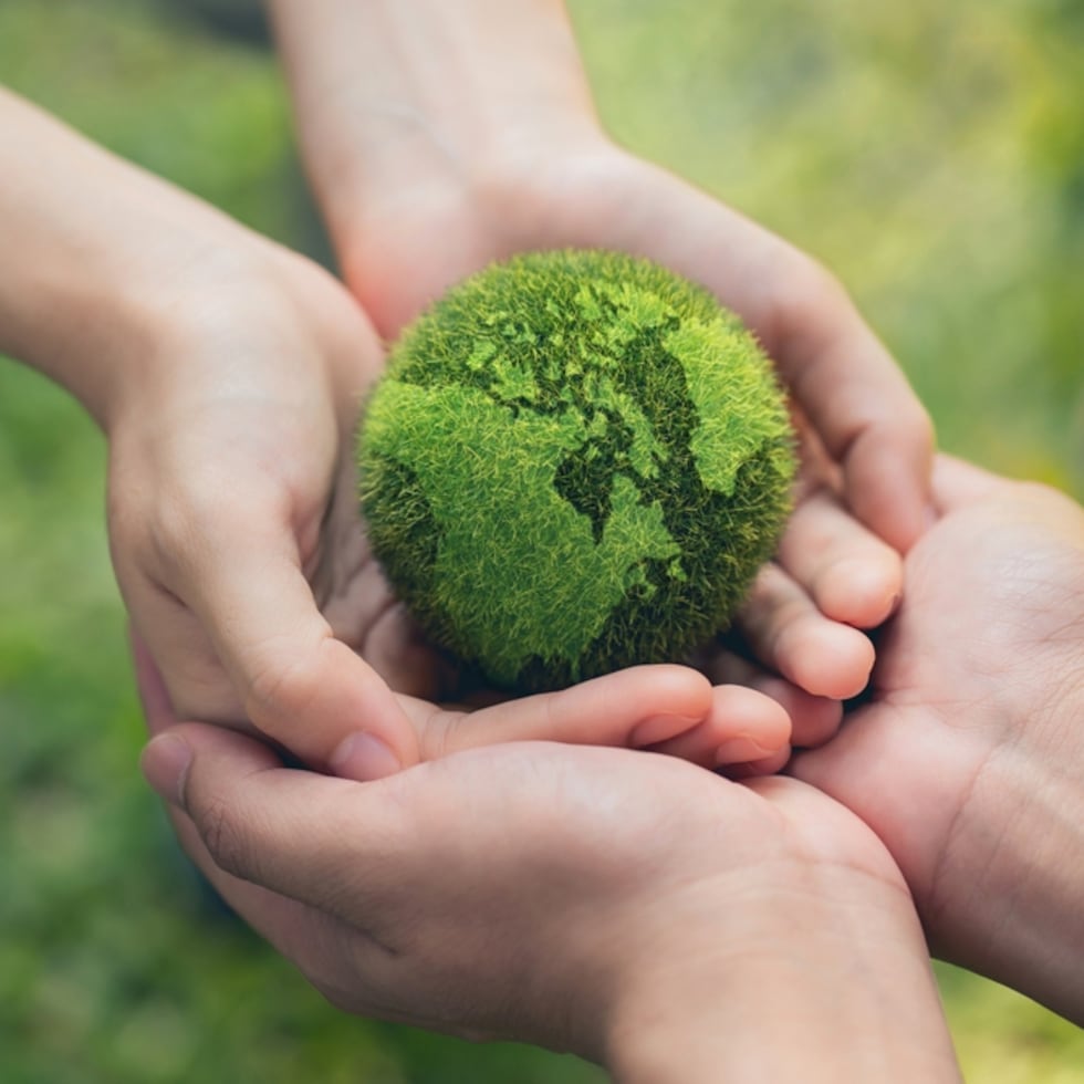 El Premio Zayed a la Sostenibilidad ha impactado la vida de más de 400 millones de personas desde 2008.