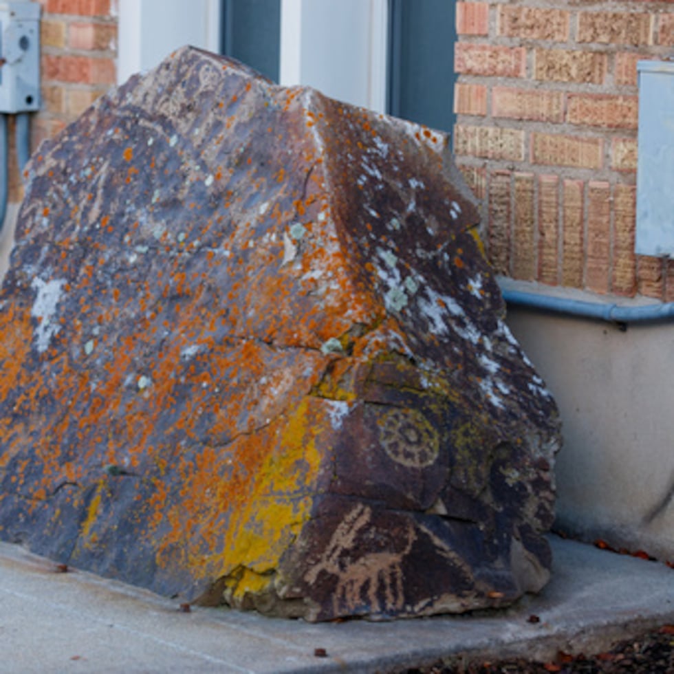 Esta foto proporcionada por la Iglesia de Jesucristo de los Santos de los Últimos Días muestra una gran roca con petroglifos creados por los antepasados de la Banda del Noroeste de la Nación Shoshone, 8 de diciembre de 2025, en Tremonton, Utah. (Iglesia de Jesucristo de los Santos de los Últimos Días vía AP)