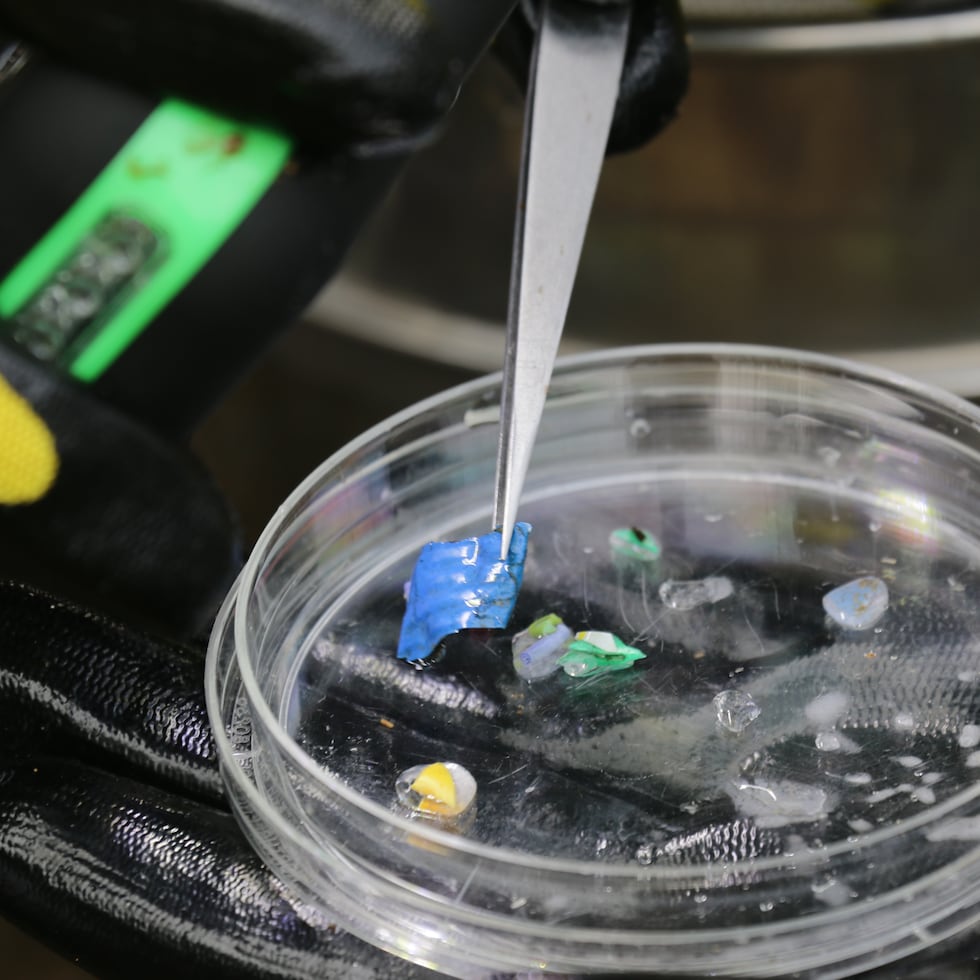 El estudio liderado por Evangelou recopiló 2,782 mediciones de concentraciones de microplásticos de 76 estudios en 283 lugares de todo el mundo entre 2014 y 2024, y las comparó con simulaciones de modelos.