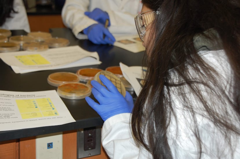 Entre las experiencias, se incluyen la recolección de muestras de suelo en el campo, el aislamiento de bacterias productoras de antibióticos, ensayos de antagonismo, extracción de ADN, reacción en cadena de la polimerasa (PCR), secuenciación genética y análisis bioinformático mediante la herramienta BLAST.
