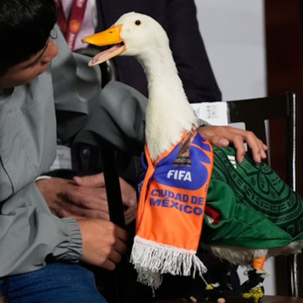 Christian Gómez interactúa con su pato Merlín, vestido con una camiseta de la selección mexicana de fútbol.