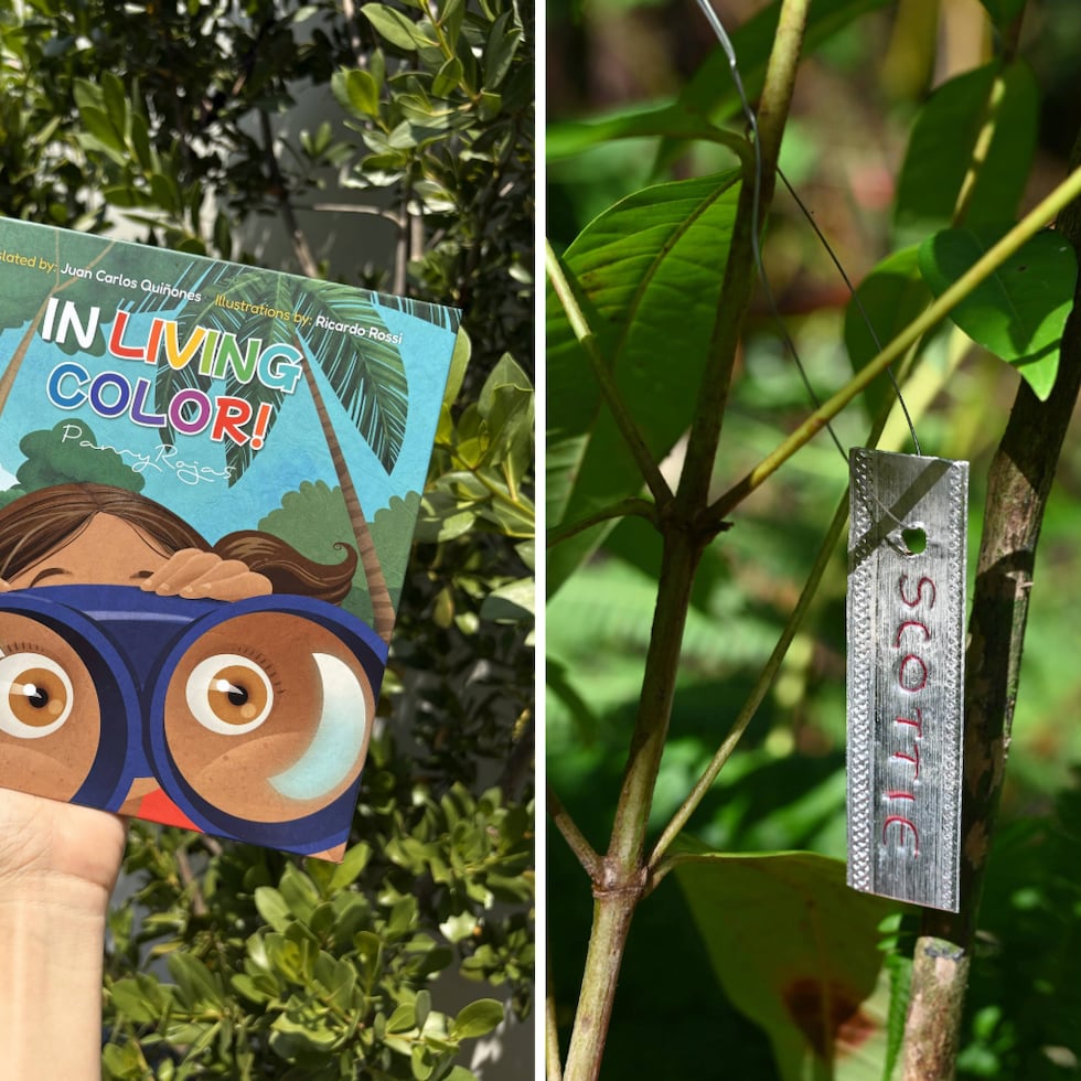 Con la compra del libro “¡En vivo y a todo color!” –disponible en español e inglés–, el consumidor podrá nombrar un árbol en la Reserva Natural Cuentos Verdes, en Utuado.
