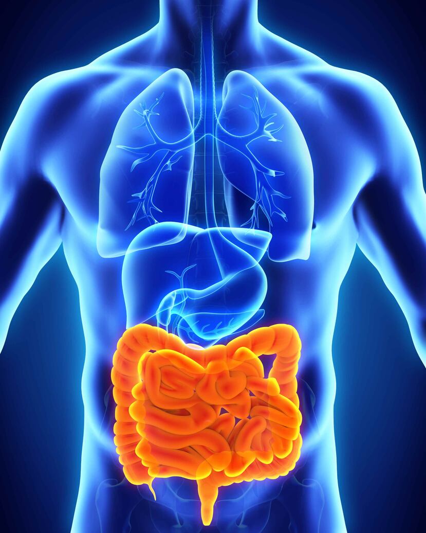 Se halló que los niños en Malawi que sufren malnutrición tienen una flora intestinal "inmadura". (Archivo/GFR Media)