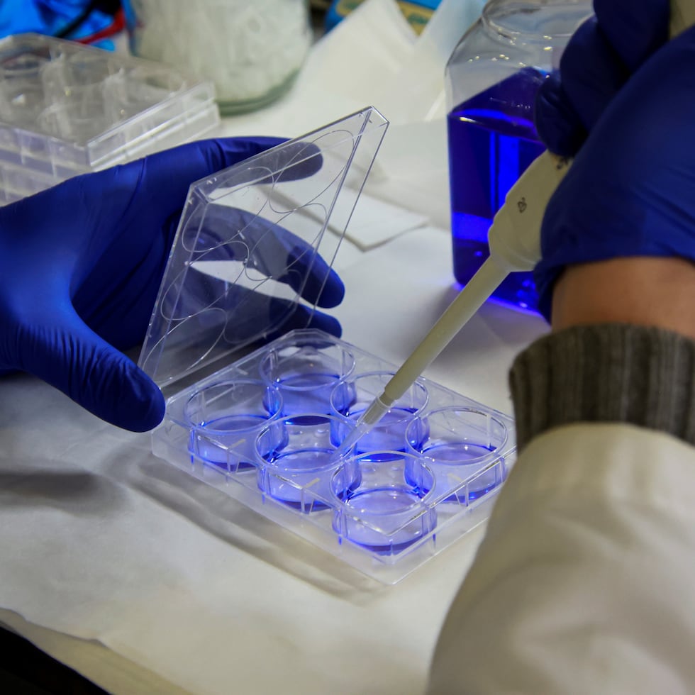 Puerto Rico debe ayudar a producir esa evidencia, representar a nuestros pacientes y ser parte de los descubrimientos que definirán cómo tratamos el cáncer en el futuro, destaca Jaime Aponte