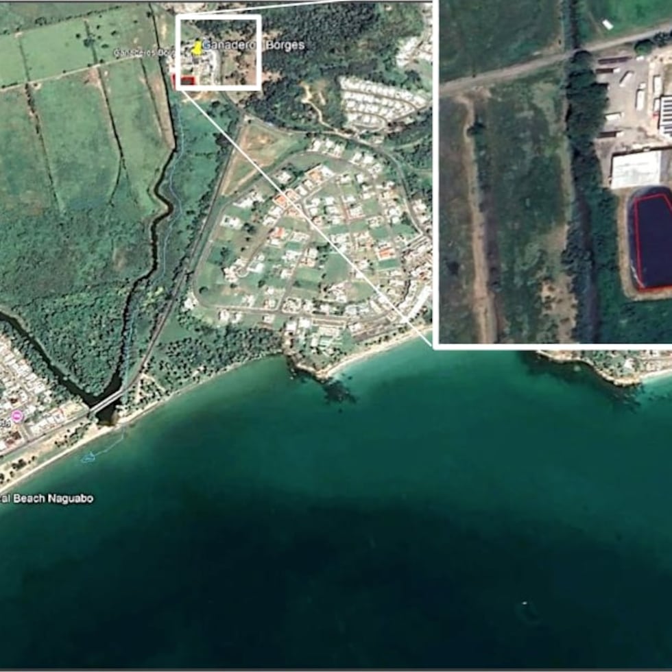 Image from a motion filed by the federal prosecutor's office showing the location of the waste retention pond on the grounds of Ganaderos Borges Inc., in Naguabo.