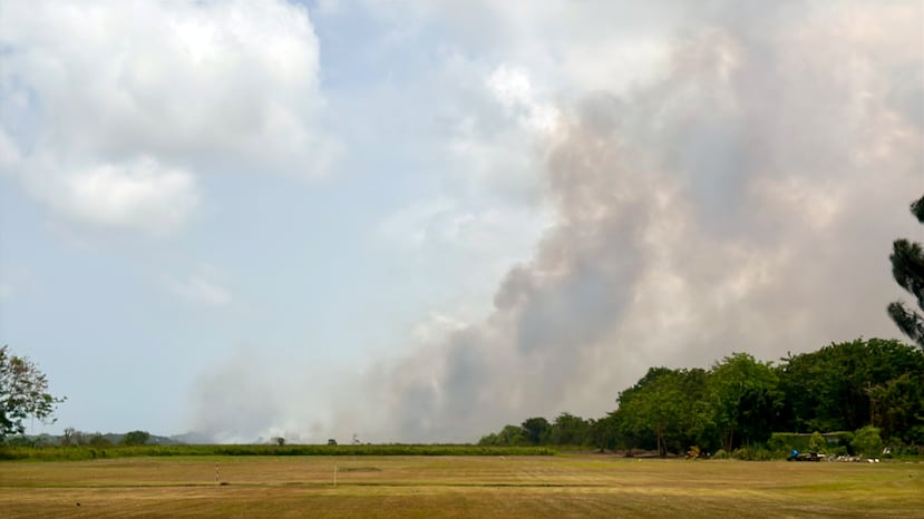 Bomberos forestales llegan a Carolina para enfrentar un incendio en un predio en la colindancia con Loíza y Canóvanas.