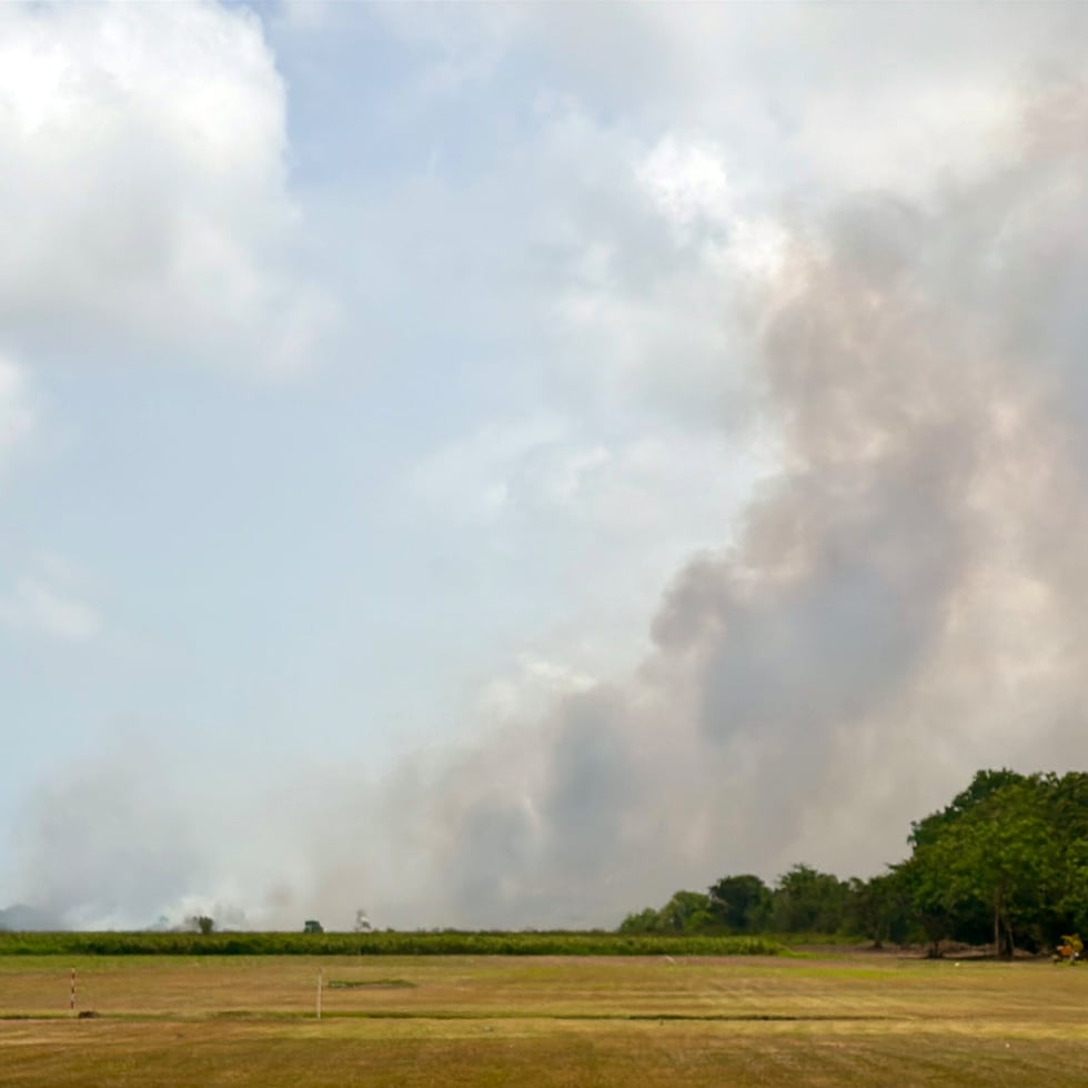 De surgir algún fuego, existe una alta probabilidad de que se propague debido a la combinación de suelos secos y condiciones ventosas.