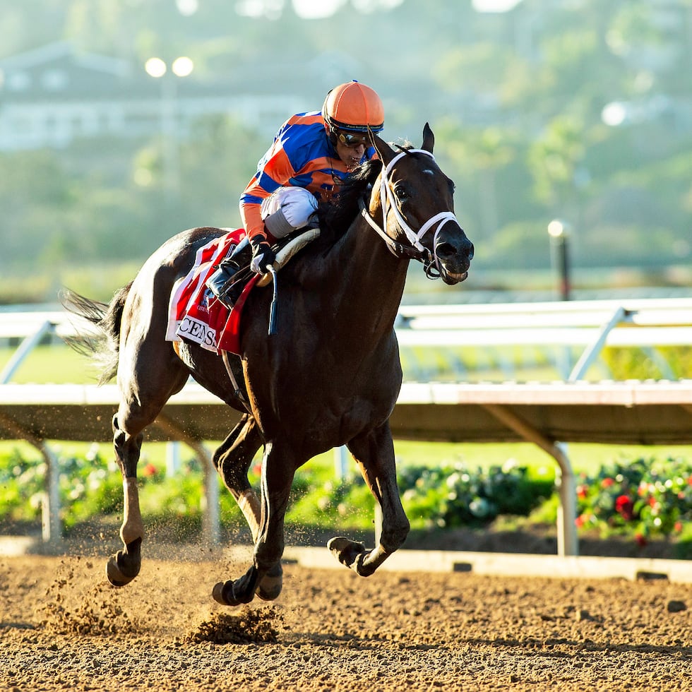Desde su faz esta nueva regulación, que ya estaba en efecto en muchas otras latitudes, parecería una enorme contribución, pues limita los riesgos, sufrimientos o consecuencias adversas sobre un caballo, escribe Jorge Mercado.