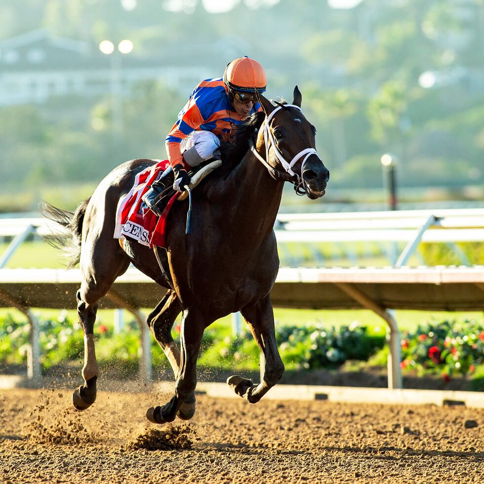 Fierceness se dirige solo a la meta con John Velázquez a bordo en el Pacific Classic corrido el sábado en California.