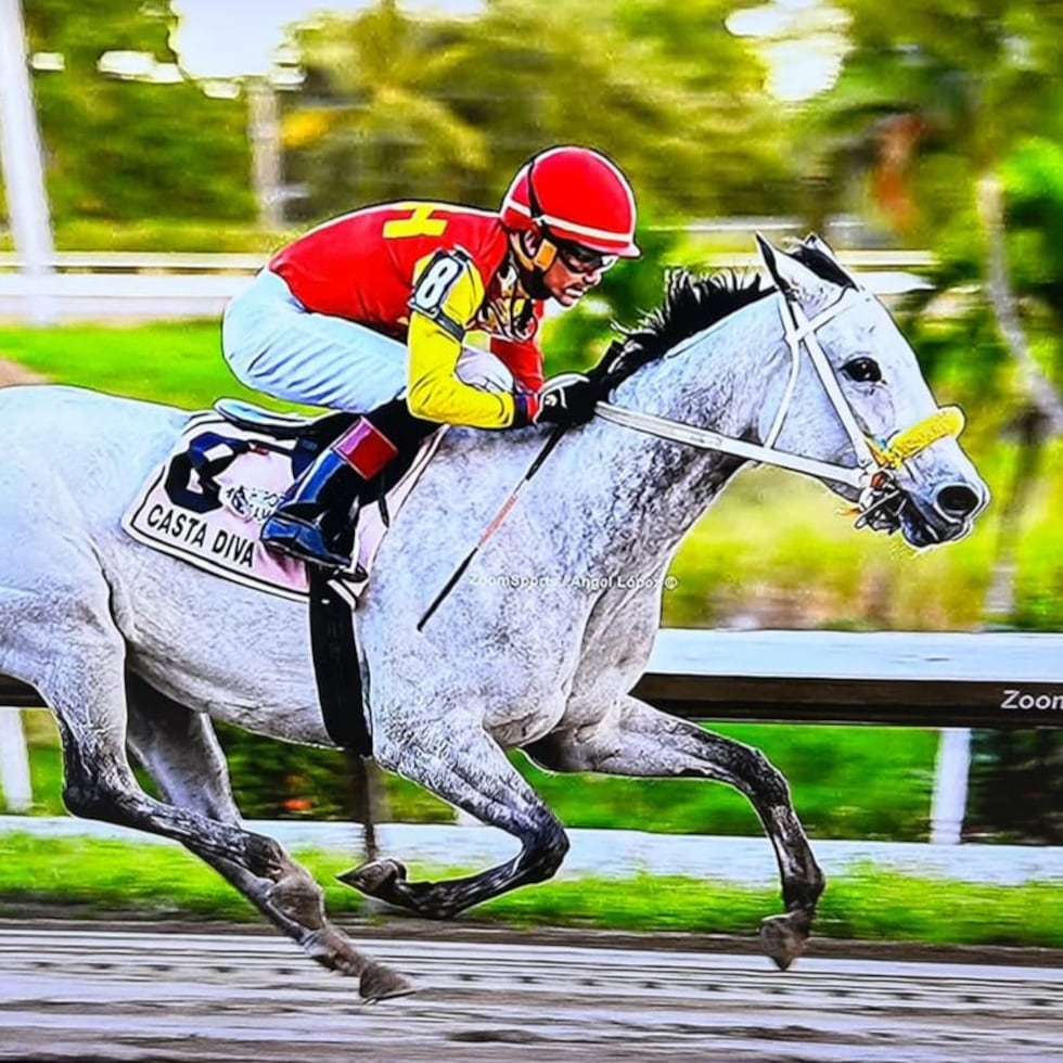 Casta Diva, la yegua nativa del Establo Cinco Hermanos, debutó como cuatroañera en el clásico Día de Reyes.