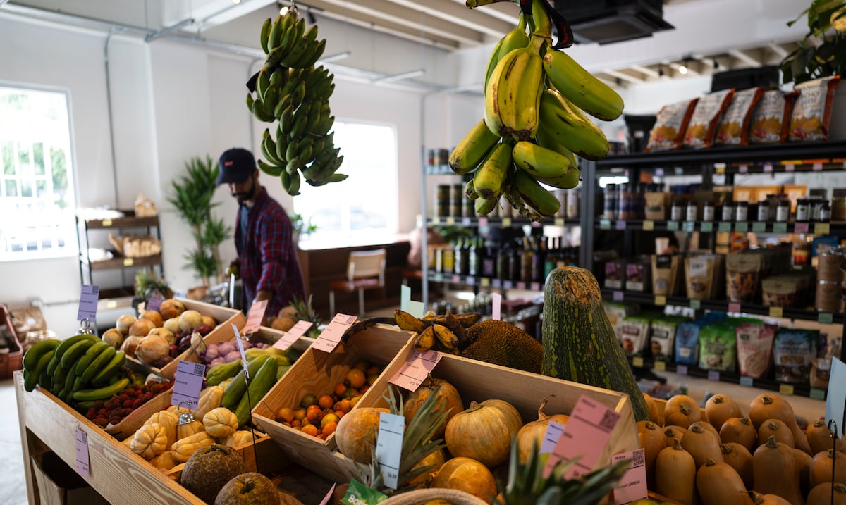 Expertos urgen mentalidad agroempresarial para impulsar la agricultura puertorriqueña