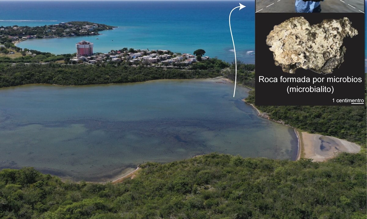 Descubren en Guánica estructuras rocosas clave para identificar vida en Marte