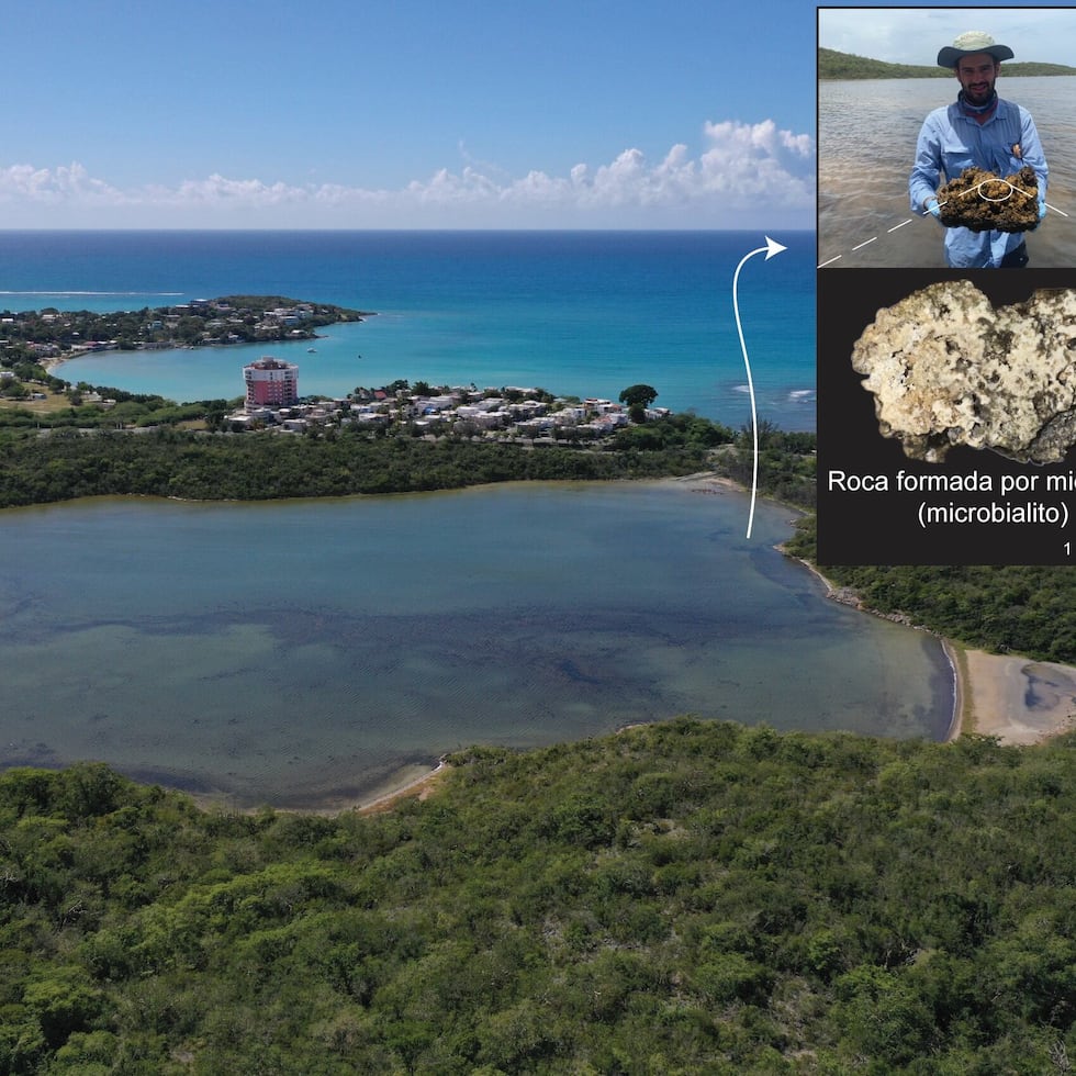 Ph.D. candidate Bryan Rodríguez Colón discovered Puerto Rico’s first microbialites (rocks formed by bacteria) in Laguna Providencia, in Guánica.