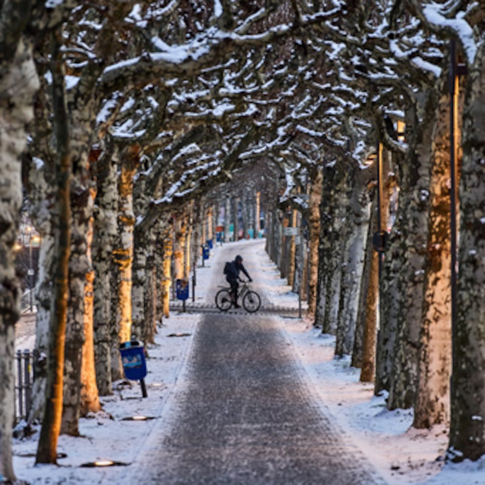 Un hombre monta en bicicleta en un callejón de Fráncfort, Alemania, el miércoles 7 de enero de 2026. (AP Photo/Michael Probst)