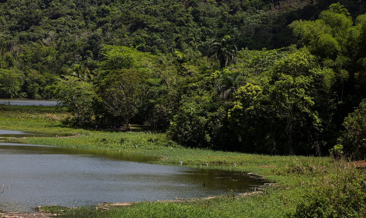 Once embalses registran aumentos en sus niveles este sábado, según la AAA