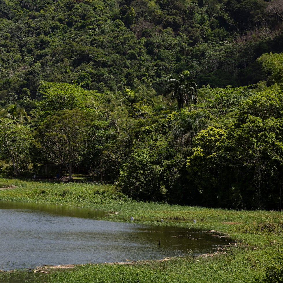 No variaron, este lunes, los niveles de los embalses Cidra, Fajardo y Garzas, en Adjuntas.