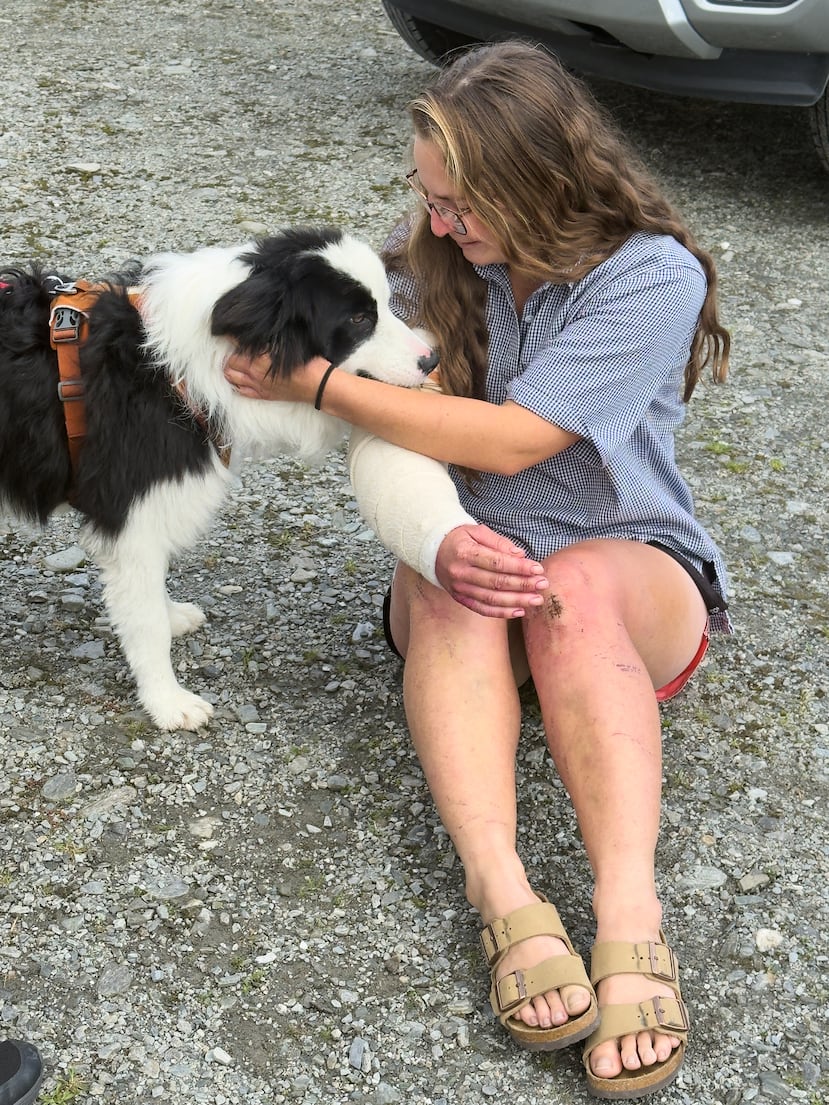 En esta foto publicada por Precision Helicopters Ltd, Molly se reúne con su propietaria Jessica Johnston tras su rescate de una cascada en el río Arahura, en la costa oeste de la Isla Sur de Nueva Zelanda, el martes 31 de marzo de 2026. (Precision Helicopters Ltd vía AP)
