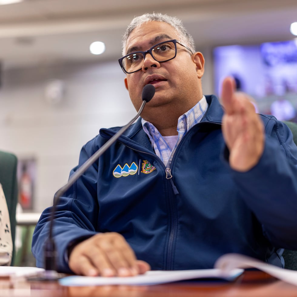 AAA President Luis González Delgado acknowledged the staffing shortages during a public hearing held by the House of Representatives’ Transportation and Infrastructure Committee.