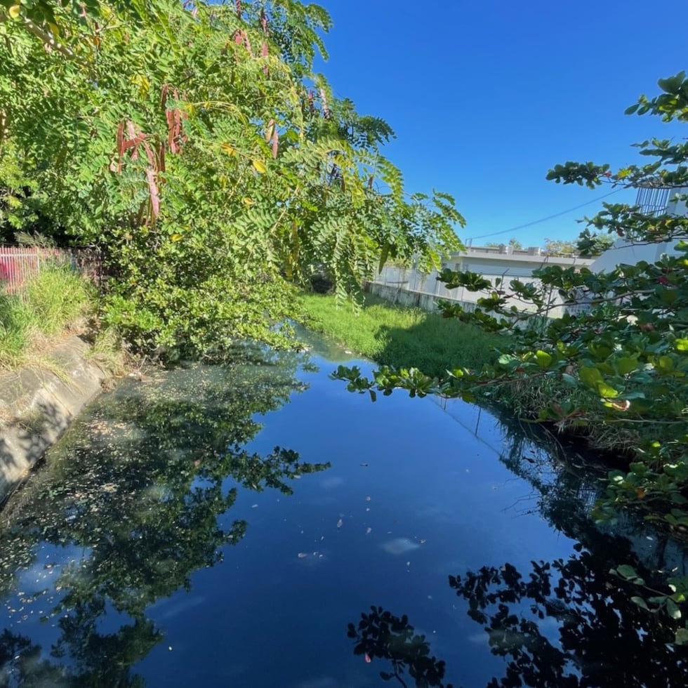 La quebrada Juan Méndez es un cuerpo de agua que nace en el Bosque Urbano, en Río Piedras, y drena en la laguna San José.