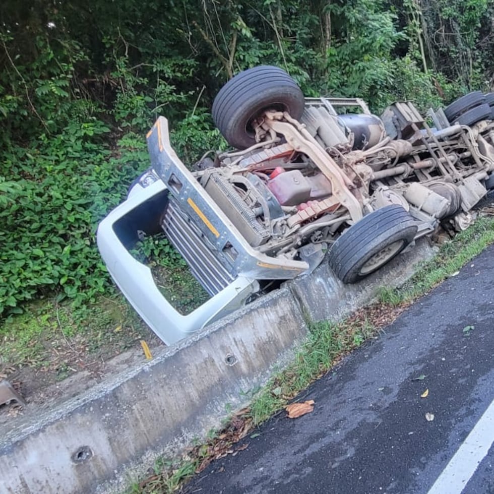 Imagen del camión accidentado en Naranjito.