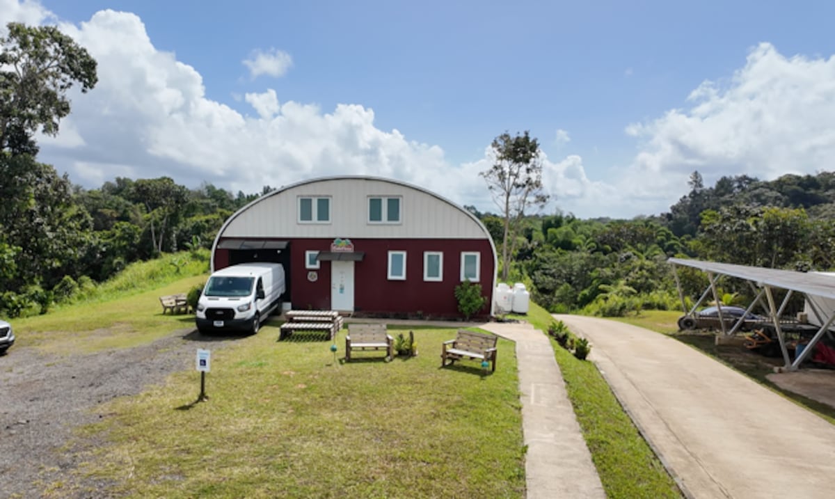 EntrePanas: finca en Utuado transforma la pana en productos de valor añadido