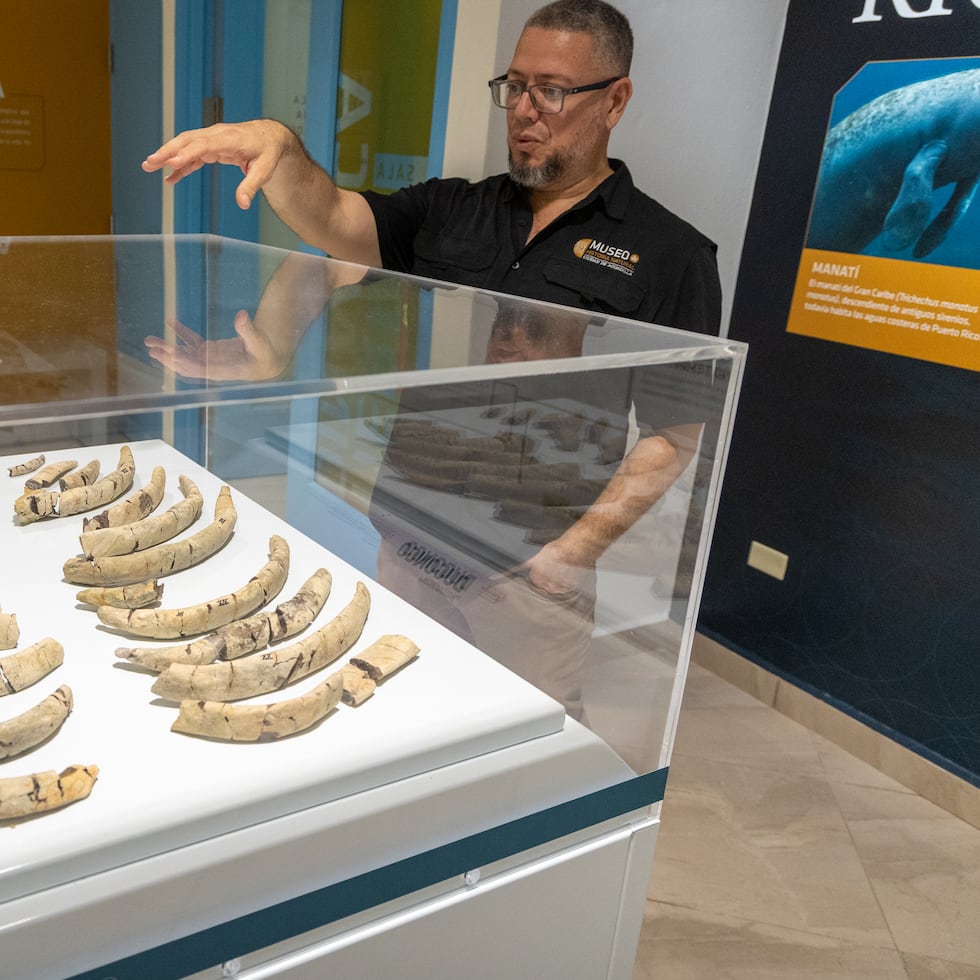 La meta es que la instalación de dos niveles abra parcialmente al público en diciembre.