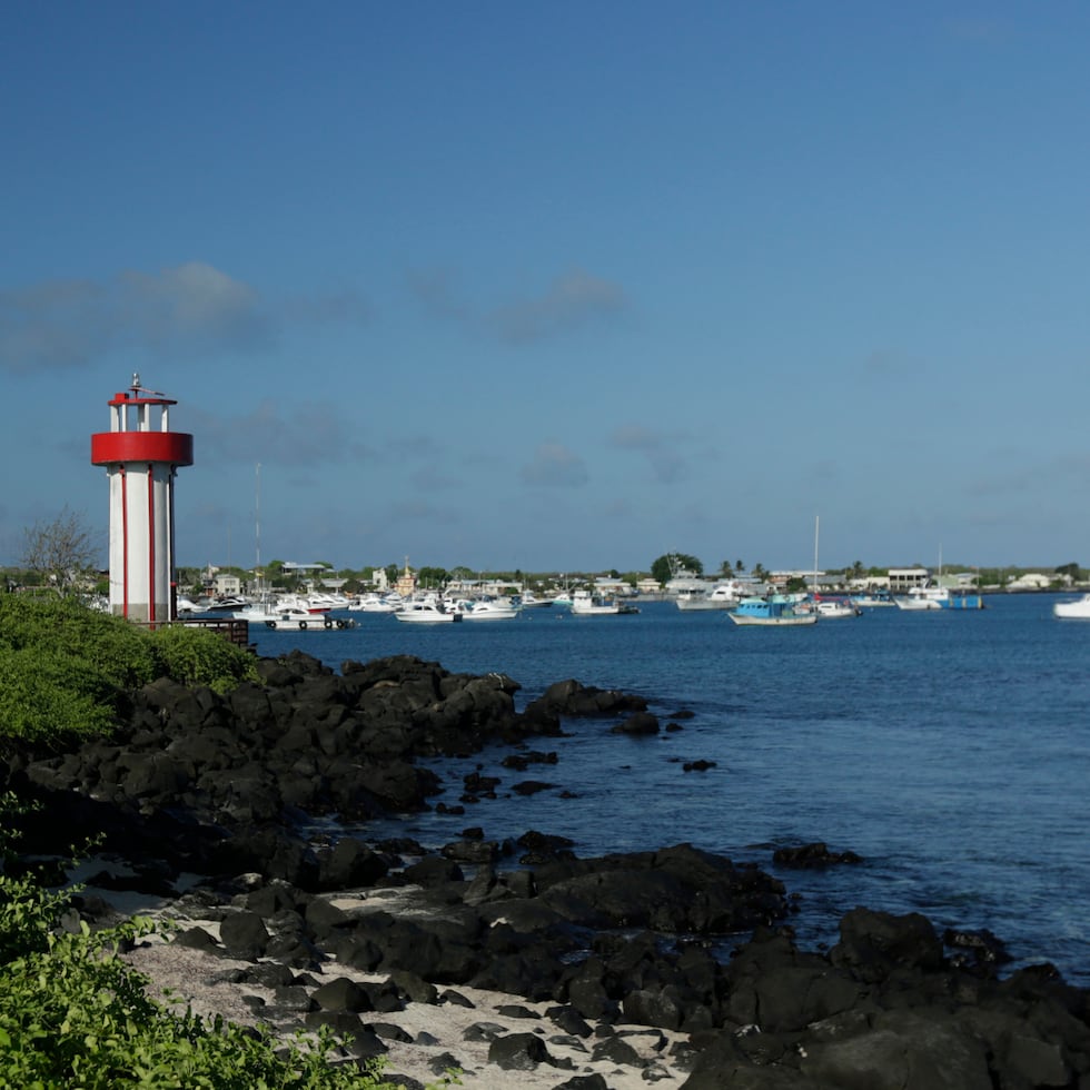 El tiroteo ocurrió en Puerto López, en la provincia de Manabí, un popular destino turístico para el avistamiento de ballenas.
