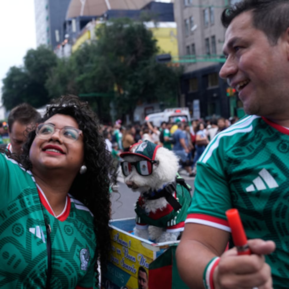 Durante los últimos dos años, Osito ha acompañado a su dueño en sus recorridos diarios repartiendo productos para el hogar por toda la Ciudad de México.
