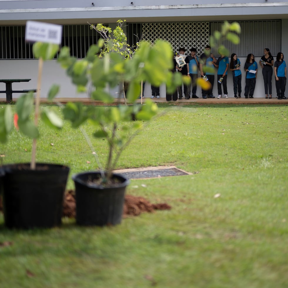 El Departamento de Educación estrenó su programa de reforestación en la Escuela Ecológica José de Diego, en Dorado.