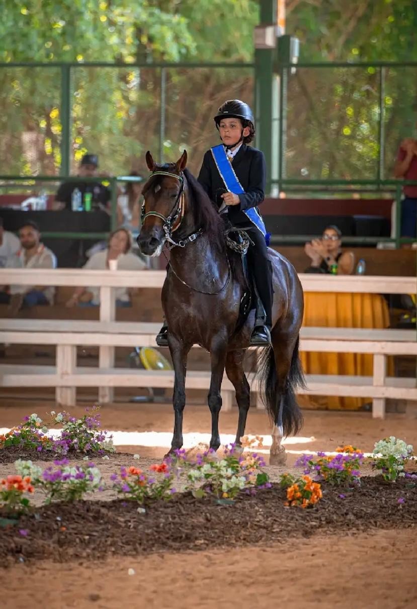 Federico Torres Segarra, de 11 años, estará entre los 70 jinetes y amazonas que representarán a la isla en la XV Mundial Confepaso de Equitación de Caballos de Paso Félix Santiago Oliver, que se realizará del 15 al 19 de julio en Repúbllilca Dominicana.