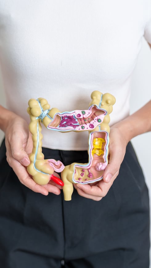 Mantener el equilibrio de los microorganismos mediante una alimentación rica en frutas puede contribuir a reducir la inflamación crónica y favorecer un mejor funcionamiento del aparato digestivo.