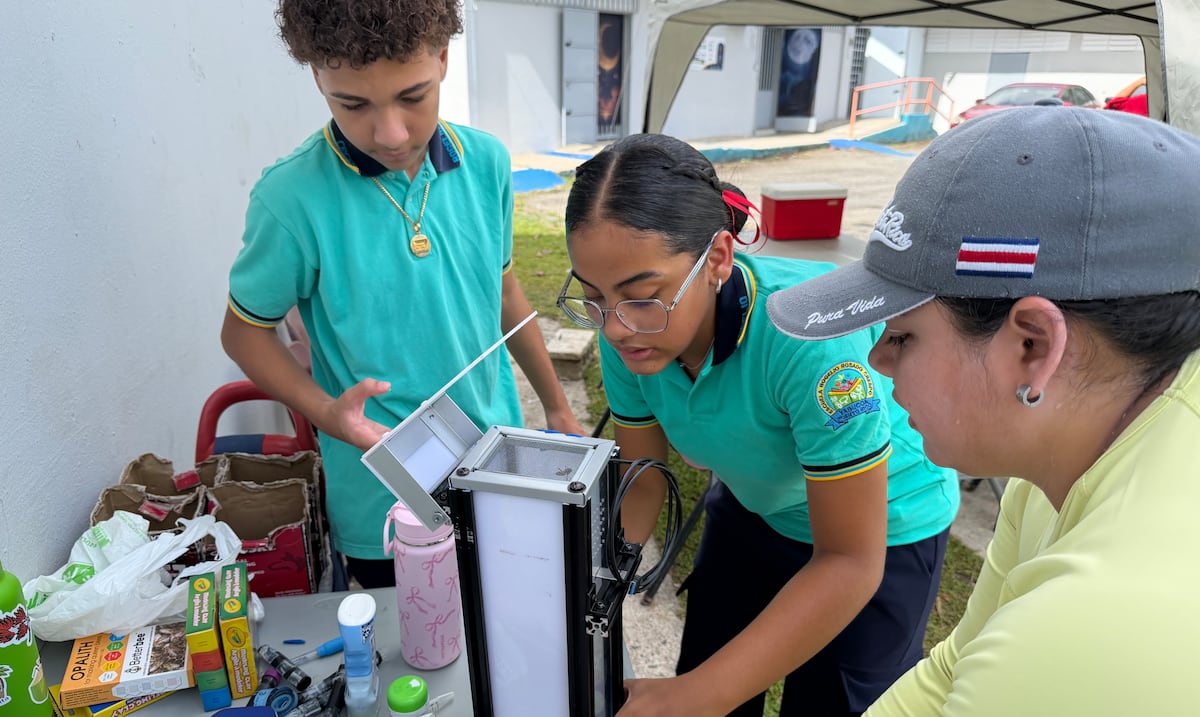 Escuela de Yabucoa y Arecibo C3 unen esfuerzos para investigar poblaciones de abejas en PR