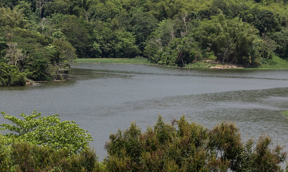 Monitoreo de embalses: Carraízo baja cuatro centímetros y La Plata sube dos