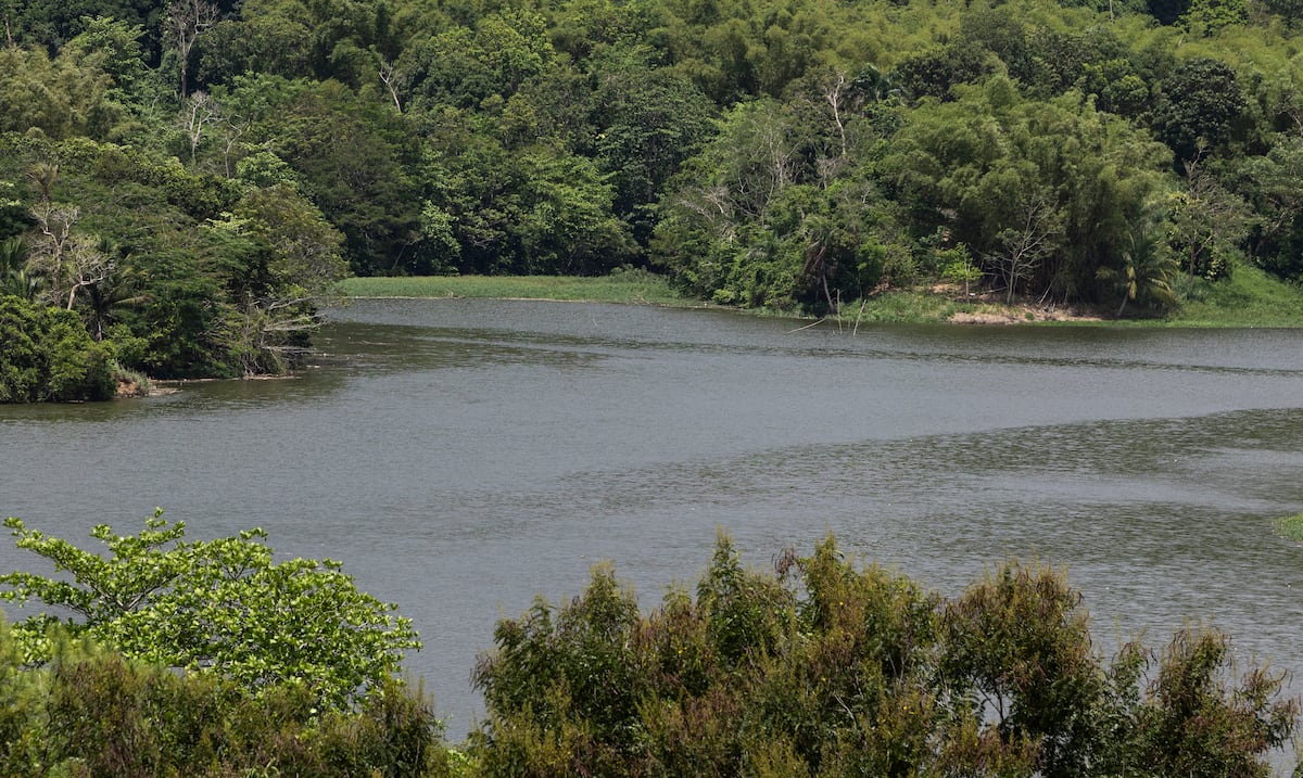 15 de 19 embalses registran descensos; La Plata y Carraízo continúan bajando