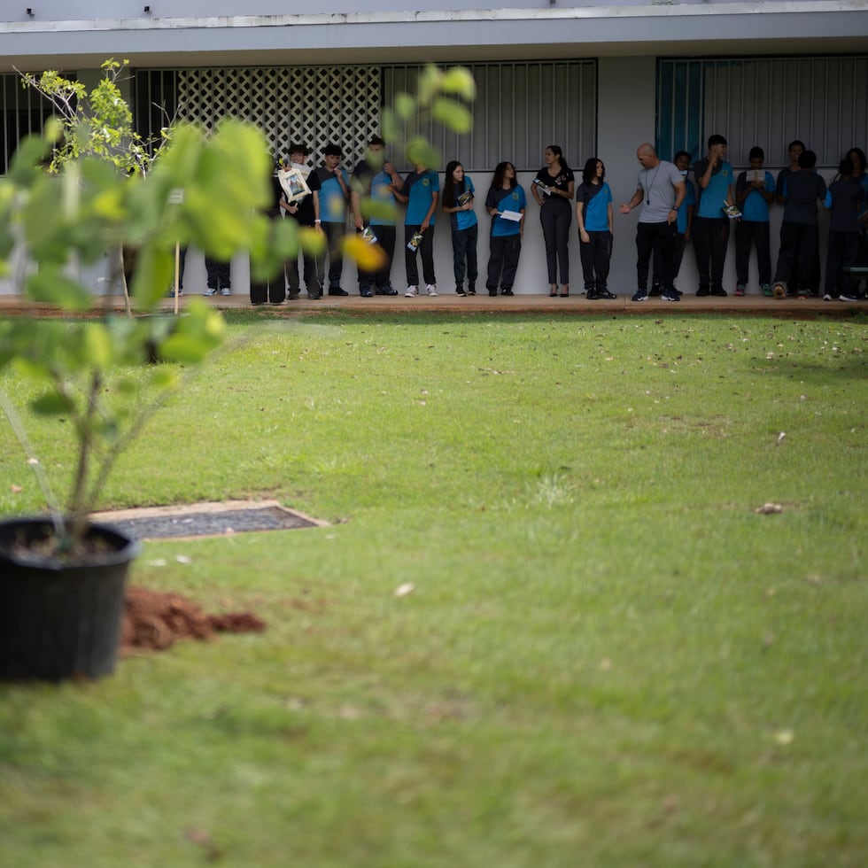 The Department of Education launched its reforestation program at the José de Diego Ecological School in Dorado.