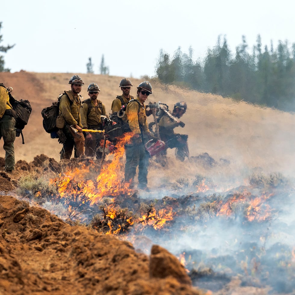 El hombre de Oregon, Rigoberto Hernández Hernández, y otro bombero formaban parte de un equipo de 44 personas que combatían un incendio en el Parque Nacional Olympic el 27 de agosto cuando fueron detenidos por agentes durante una investigación penal que realizaban varias agencias acerca de los dos contratistas para los que trabajaban.
