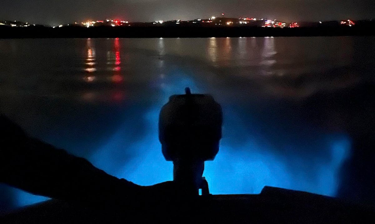 Vieques’ Mosquito Bay loses its bioluminescent glow, raising concerns over tourism