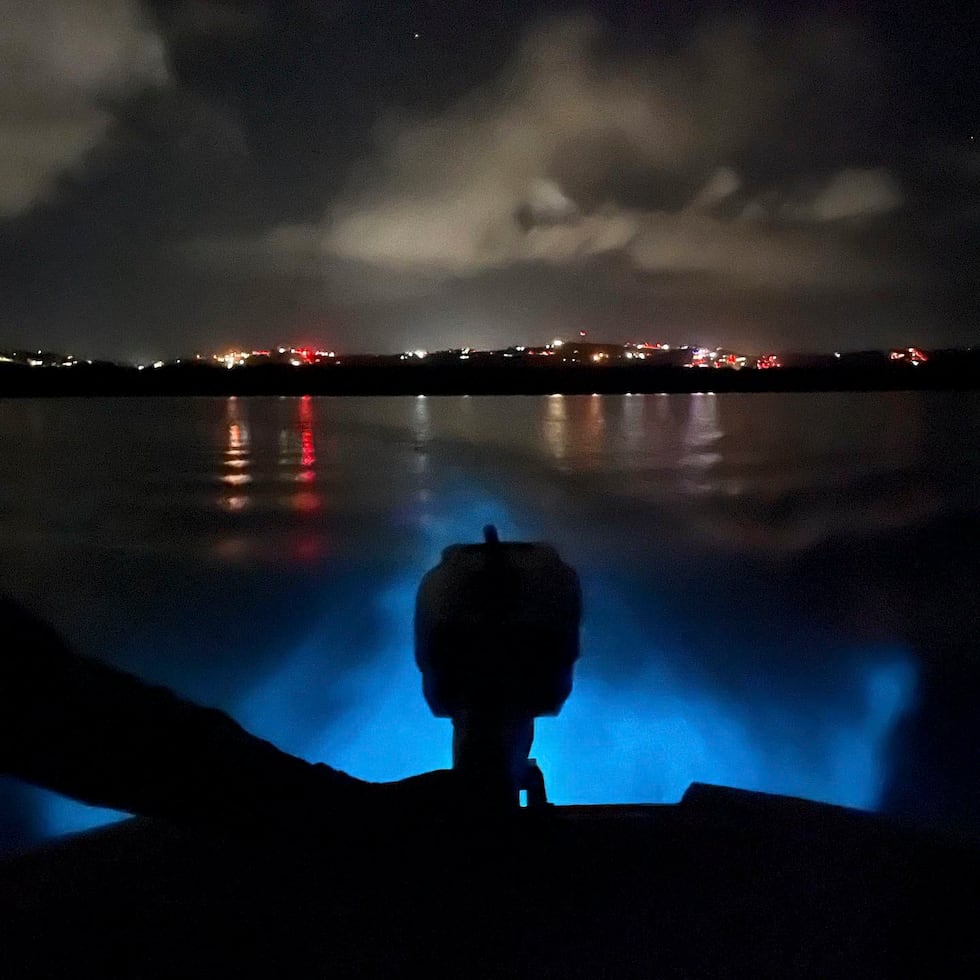 La bahía bioluminiscente de Vieques es considerada “la más brillante del mundo”.