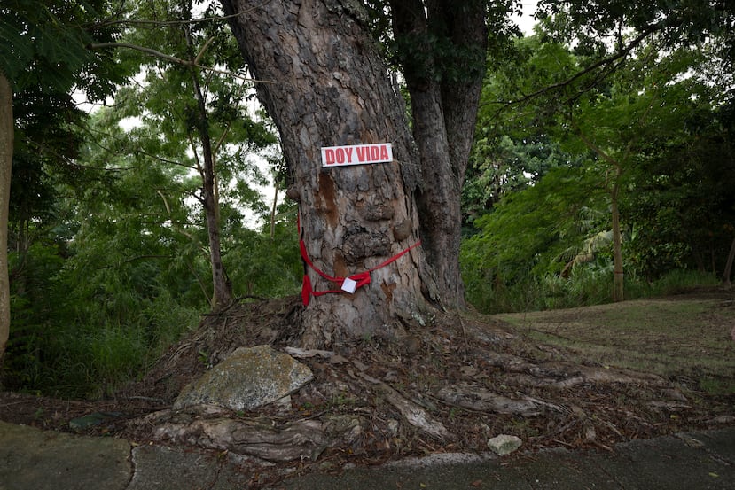 Los vecinos que se oponen a la canalización colocaron carteles a lo largo de un segmento del cauce que podría ser impactado con el proyecto.